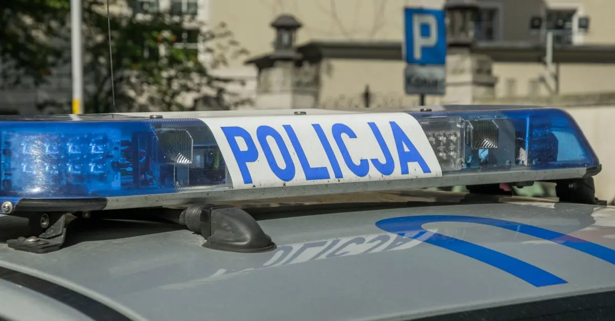 Ochrona zwierząt: Najważniejsze zagadnienia i porady zakupowe
