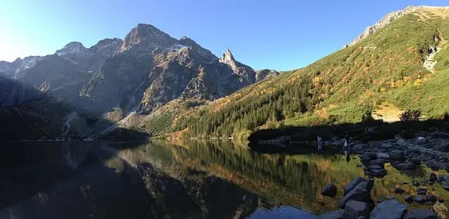 Niesamowite bezkręgowce morskie - przewodnik zakupu